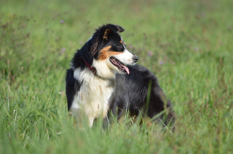 Into darkness Daouphars