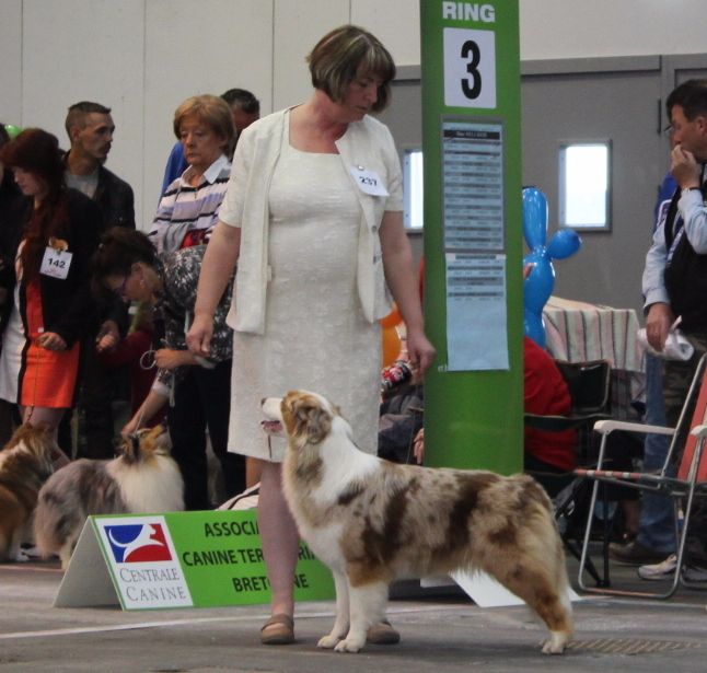 Legally blonde dite monroe Daouphars